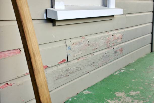 Best Hoarding Cleanup  in Spencerport, NY